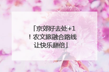 京郊好去处+1！农文旅融合路线让快乐翻倍