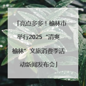 亮点多多！榆林市举行2025“清爽榆林”文旅消费季活动新闻发布会