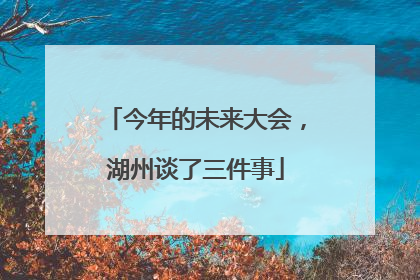 今年的未来大会，湖州谈了三件事