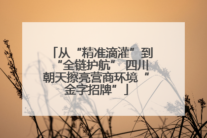 从“精准滴灌”到“全链护航” 四川朝天擦亮营商环境“金字招牌”