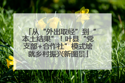 从“外出取经”到“本土结果”！叶县“党支部+合作社”模式绘就乡村振兴新图景