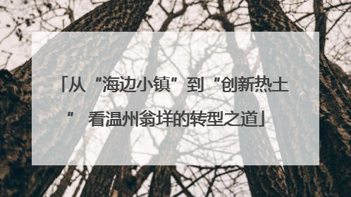 从“海边小镇”到“创新热土” 看温州翁垟的转型之道