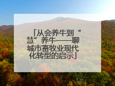 从会养牛到“慧”养牛——聊城市畜牧业现代化转型的启示