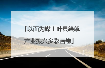 以面为媒！叶县绘就产业振兴多彩画卷