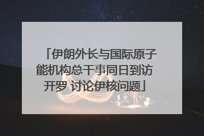 伊朗外长与国际原子能机构总干事同日到访开罗 讨论伊核问题