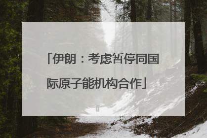 伊朗：考虑暂停同国际原子能机构合作