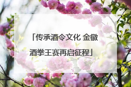 传承酒令文化 金徽酒拳王赛再启征程