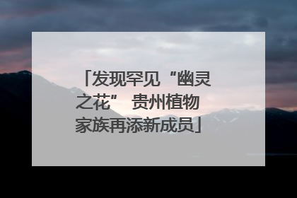 发现罕见“幽灵之花” 贵州植物家族再添新成员