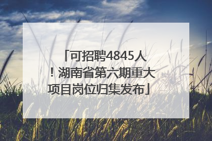 可招聘4845人！湖南省第六期重大项目岗位归集发布