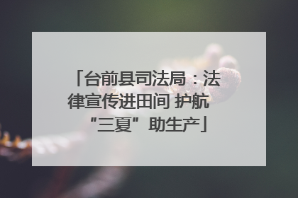 台前县司法局：法律宣传进田间 护航“三夏”助生产