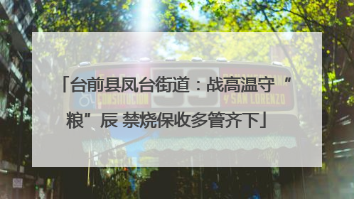 台前县凤台街道：战高温守“粮”辰 禁烧保收多管齐下