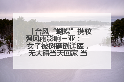 台风“蝴蝶”携较强风雨影响三亚：一女子被树砸倒送医，无大碍当天回家 当地已紧急清障