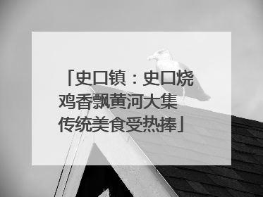 史口镇：史口烧鸡香飘黄河大集 传统美食受热捧