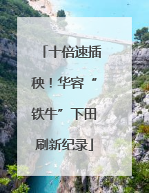 十倍速插秧！华容“铁牛”下田刷新纪录