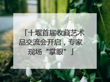 十堰首届收藏艺术品交流会开启，专家现场“掌眼”