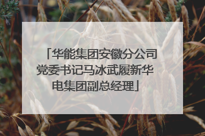 华能集团安徽分公司党委书记马冰武履新华电集团副总经理