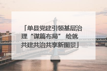 单县党建引领基层治理“谋篇布局” 绘就共建共治共享新图景
