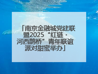 南京金融城党建联盟2025“红链・河西鹊桥”青年联谊派对甜蜜举办