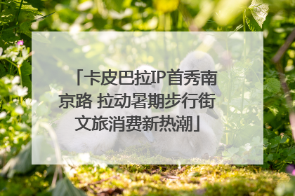 卡皮巴拉IP首秀南京路 拉动暑期步行街文旅消费新热潮