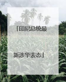 印尼总统最新涉华表态