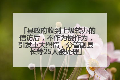 县政府收到上级转办的信访后，不作为慢作为，引发重大舆情，分管副县长等25人被处理