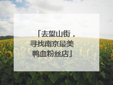 去望山街，寻找南京最美鸭血粉丝店
