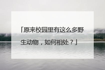 原来校园里有这么多野生动物，如何相处？