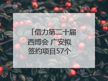 借力第二十届西博会 广安拟签约项目57个｜数读西投