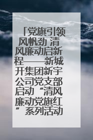 党旗引领风帆劲 清风廉动启新程——新城开集团新宇公司党支部启动“清风廉动党旗红”系列活动