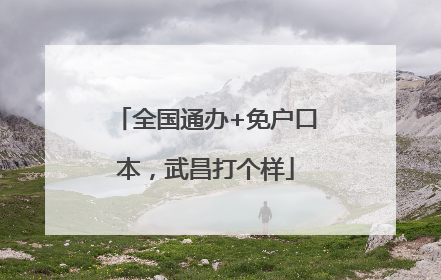 全国通办+免户口本，武昌打个样