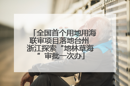 全国首个用地用海联审项目落地台州 浙江探索“地林草海”审批一次办