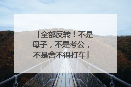 全部反转！不是母子，不是考公，不是舍不得打车