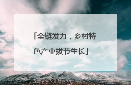全链发力，乡村特色产业拔节生长
