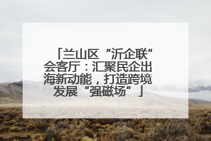 兰山区“沂企联”会客厅：汇聚民企出海新动能，打造跨境发展“强磁场”