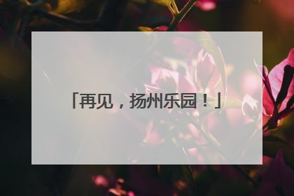 再见，扬州乐园！