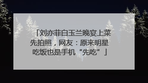 刘亦菲白玉兰晚宴上菜先拍照，网友：原来明星吃饭也是手机“先吃”