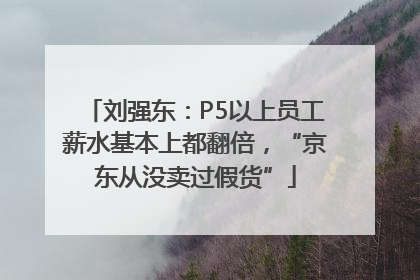 刘强东：P5以上员工薪水基本上都翻倍，“京东从没卖过假货”