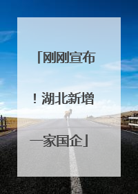 刚刚宣布！湖北新增一家国企