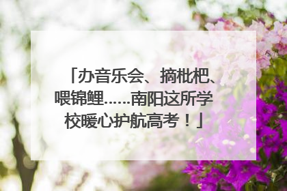 办音乐会、摘枇杷、喂锦鲤……南阳这所学校暖心护航高考！