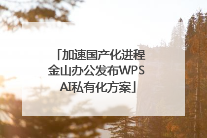 加速国产化进程 金山办公发布WPS AI私有化方案