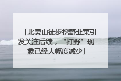 北灵山徒步挖野韭菜引发关注后续，“打野”现象已经大幅度减少