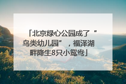 北京绿心公园成了“鸟类幼儿园”，福泽湖畔降生8只小鸳鸯