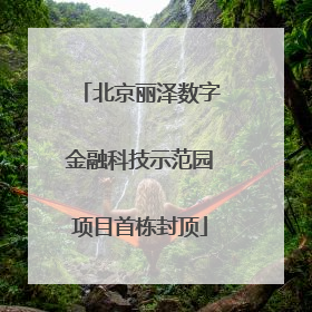北京丽泽数字金融科技示范园项目首栋封顶