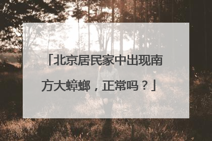 北京居民家中出现南方大蟑螂，正常吗？