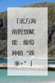 北方海南智慧赋能：葡萄种植“效率+”