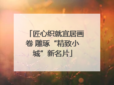 匠心织就宜居画卷 雕琢“精致小城”新名片