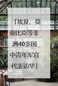 埃及、莫桑比克等非洲40多国中青年军官代表访华