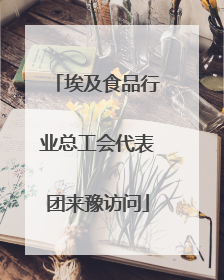 埃及食品行业总工会代表团来豫访问