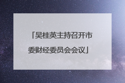 吴桂英主持召开市委财经委员会会议
