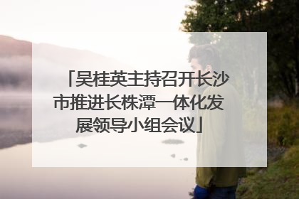 吴桂英主持召开长沙市推进长株潭一体化发展领导小组会议